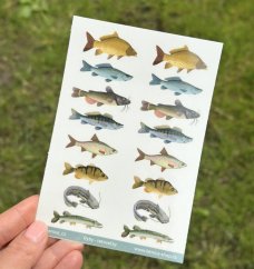 Be Nice Tetovačky - Ryby