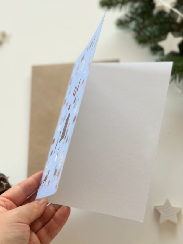 Be Nice EKO vánoční přání Anglická pohádka