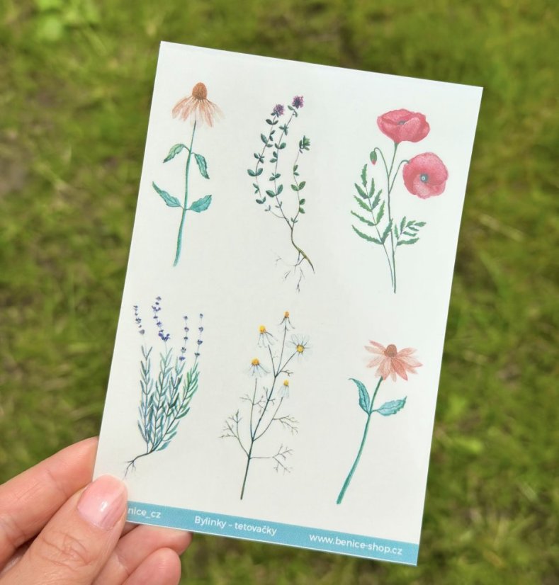 Be Nice Tattoo - Herbs