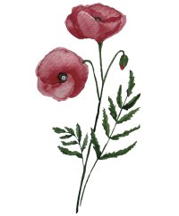 Be Nice Nažehlovačka na textil - Vlčí mák